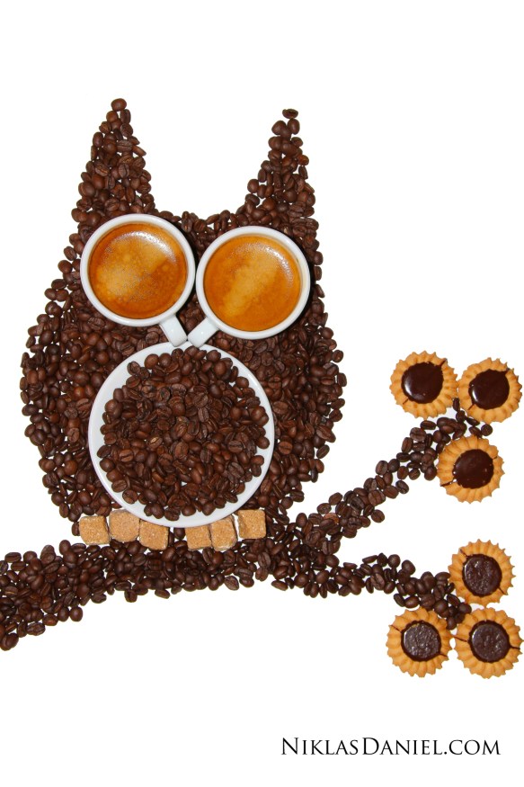 Coffee Owl