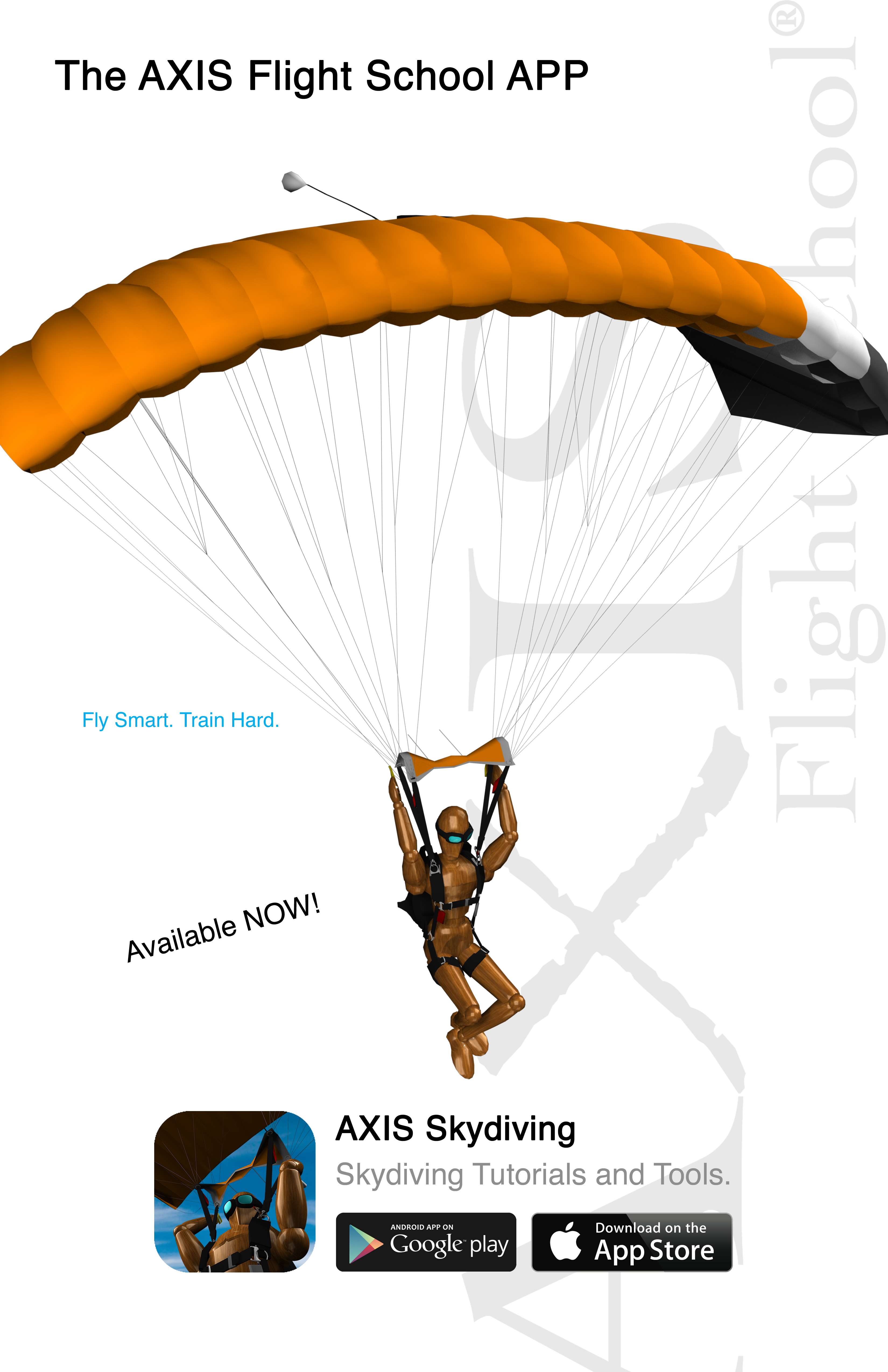 AXIS App DZ poster #4.jpg